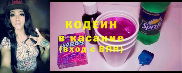 apvp Вяземский