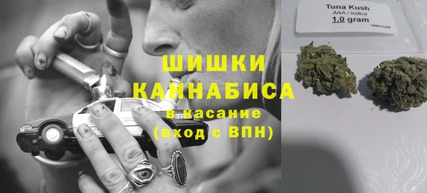 apvp Вяземский