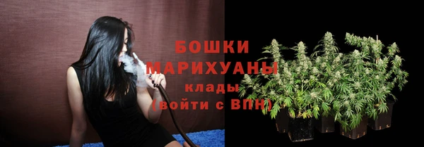 apvp Вяземский