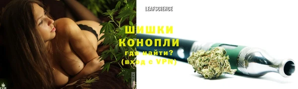 apvp Вяземский