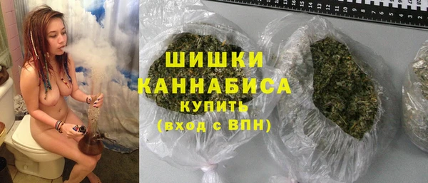 apvp Вяземский